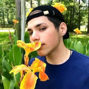 Meet your Posher, Hector